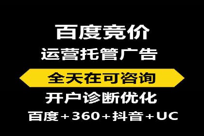 竞价广告赚钱案例：从新手到专家